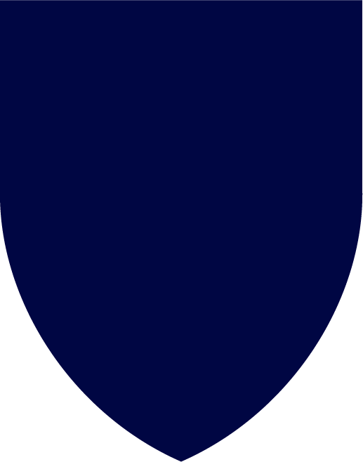 Navy shield swatch